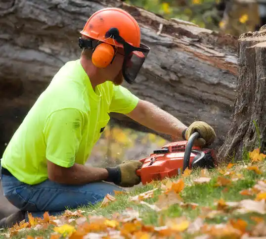 tree services Caruthersville